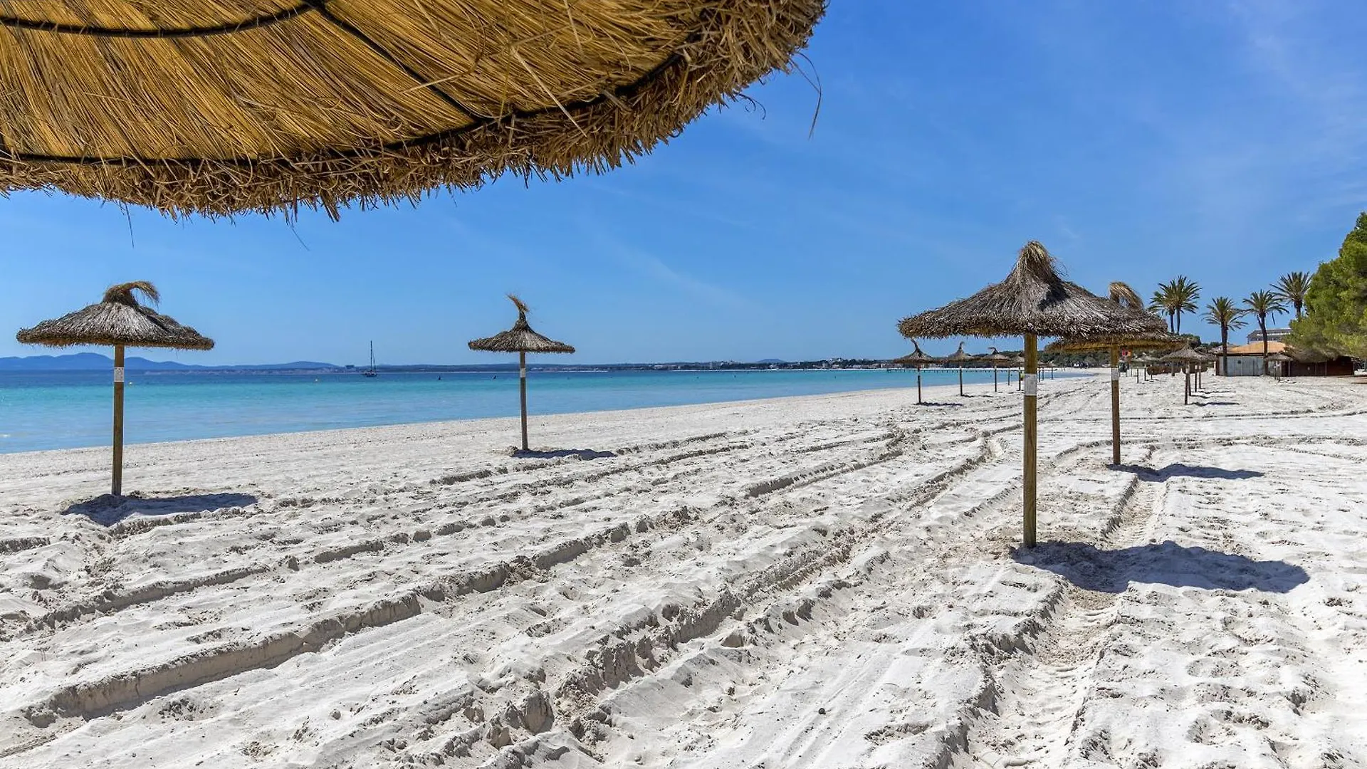 Apartment Just 150 M From The Alcudia Beach Port de Alcudia  Spagna